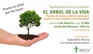 Árbol de la Vida, aecc Murcia