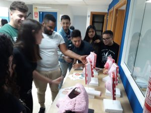 Alumnos de Cesur Murcia exploran las maquetas de mama.
