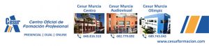 CESUR Murcia, 14 ciclos de FP DUAL.