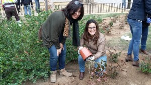 Profesoras de Cesur, aecc