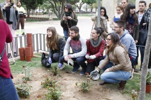 Alumnos y profesora de Cesur en la plantación de rosales.