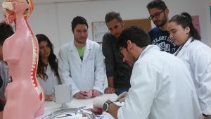 Alumnos TSIDMN y TSAP repasando el Sistema Cardiovascular.