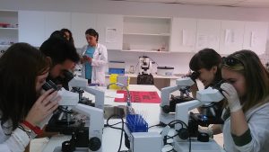 Alumnos TSIDMN y TSAP observando células en el microscopio.