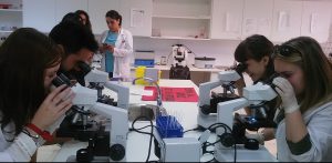 Alumnos TSIDMN y TSAP observando células en el microscopio.
