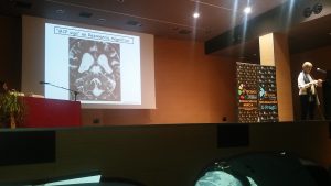 Dra. Mª Isabel Tejada Mínguez explicando técnicas de Radiodiagnóstico de Patologías asociadas a la Premutación del X Frágil
