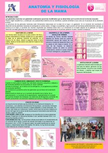 Poster Anatomía de la mama, alumnos Anatomía Patológica