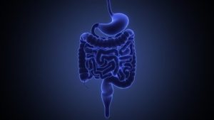 Dos tercios de los tumores neuroendocrinos son de origen gastrointestinal o pancreático.