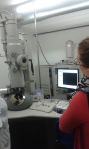 Microscopio electrónico de transmisión