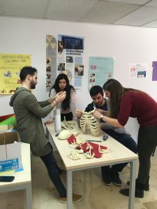 Arturo Jimenez Torres, Clara Mishell Ortega Quezada, Alejandro Meseguer Martínez y María Valenciano Ros trabajando en la confección del Atlas