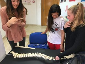 Andrea Miralles Sánchez, Odalis Peña Silva y Lidia Sánchez Martínez trabajando en la columna vertebral.