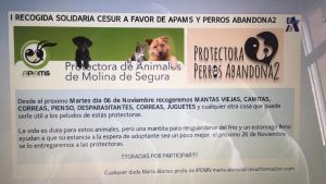 I RECOGIDA SOLIDARIA CESUR A FAVOR DE APAMS Y PERROS ABANDONA2